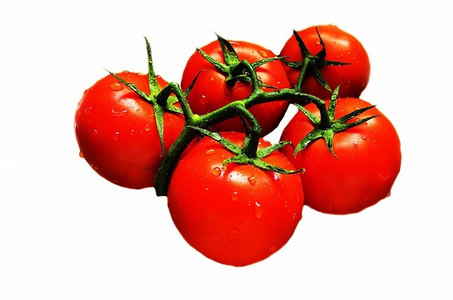 עגבניה פרי או ירק