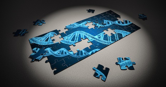 מה ההבדל בין גנים לכרומוזום?