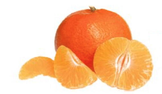 מה ההבדל בין קלמנטינה למנדרינה? 🍊