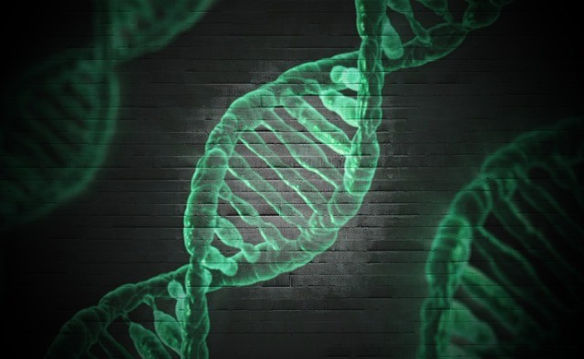האם יש DNA בשתן?