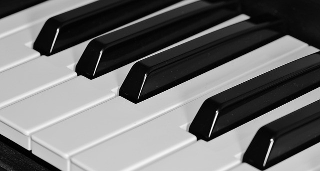 מה ההבדל בין פסנתר לאורגן? 🎹