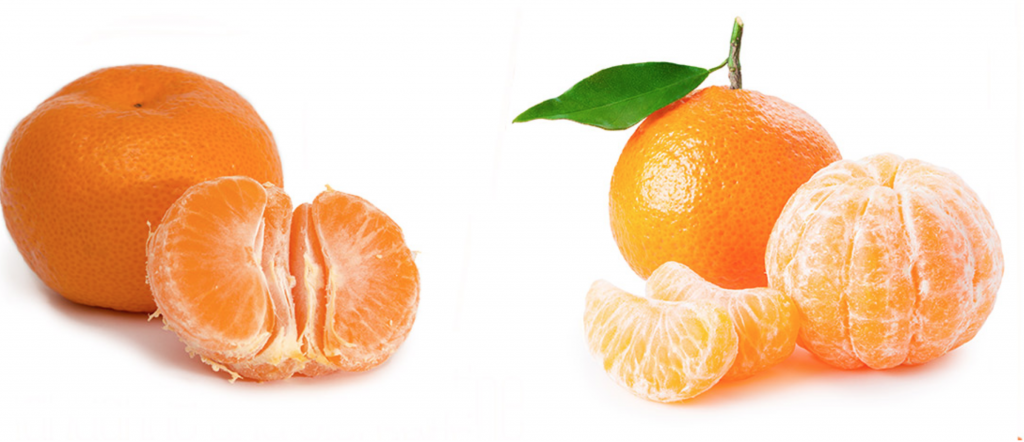 מה ההבדל בין קלמנטינה למנדרינה? 🍊