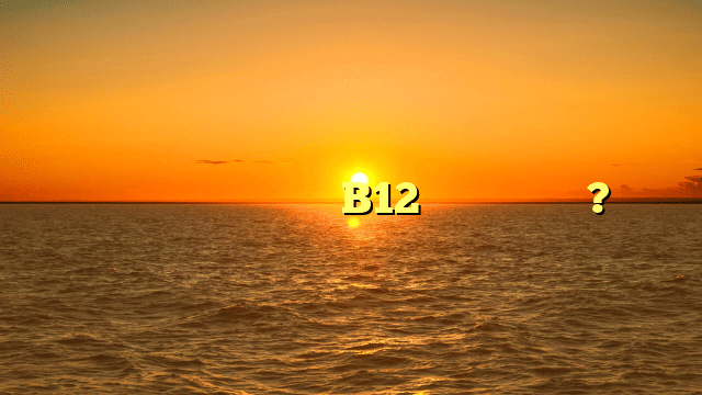מה ההבדל בין חוסר של B12 לחוסר של ברזל? מה ההבדל בין חוסר של B12 לחוסר של ברזל?